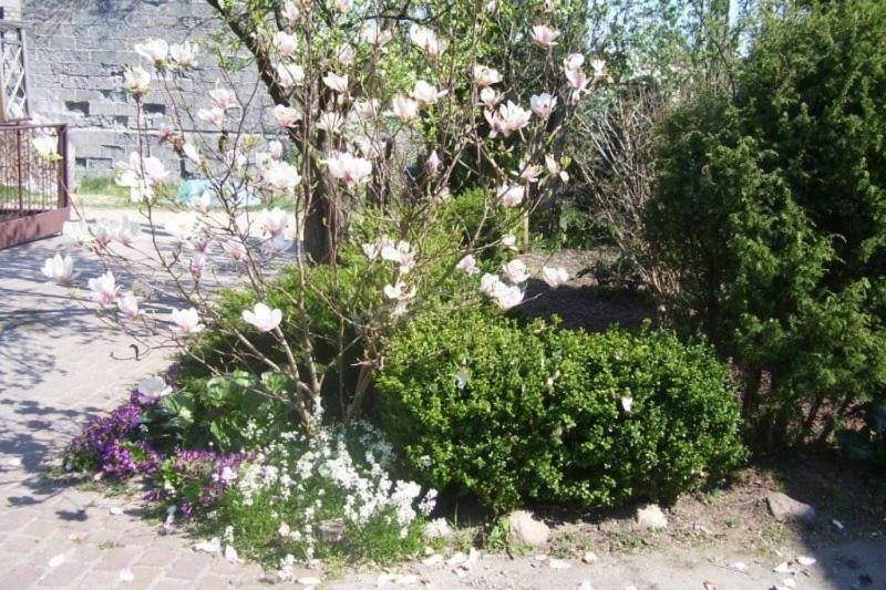 Pokoje Goscinne Pod Magnolia ビエレ エクステリア 写真
